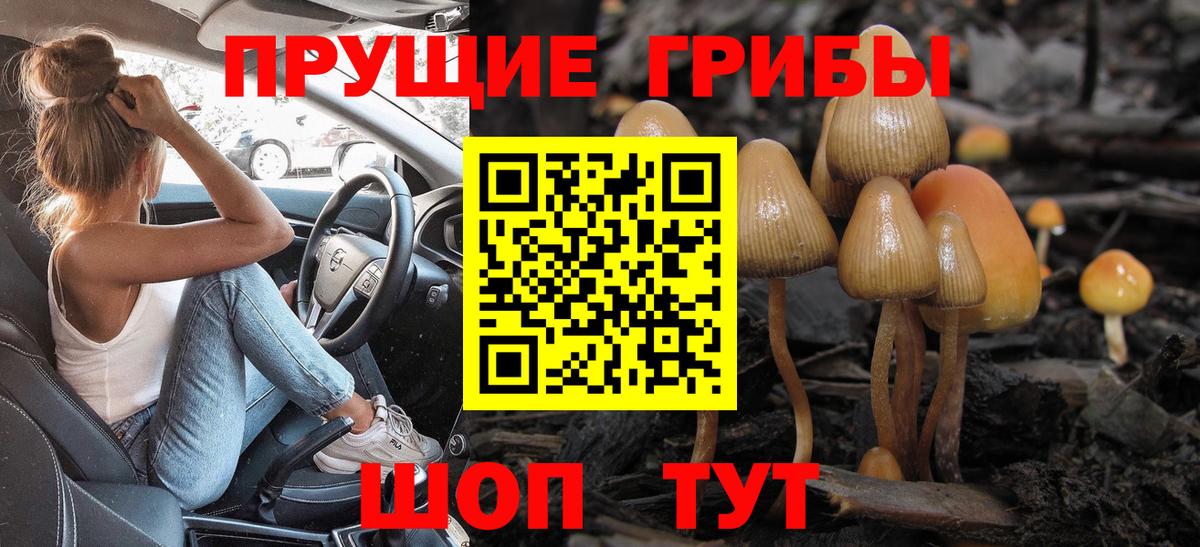 Галлюциногенные грибы GOLDEN TEACHER  Вход с VPN  Шебекино 